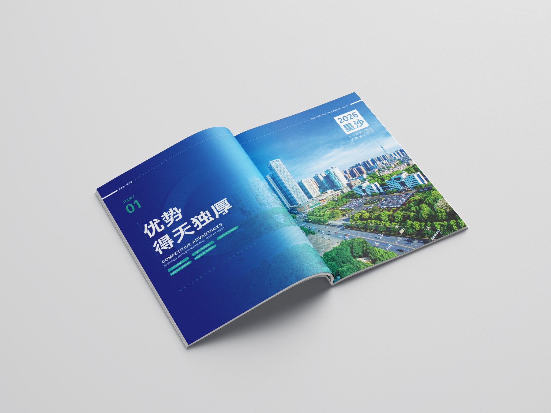长沙县星沙街道画册详情图 4