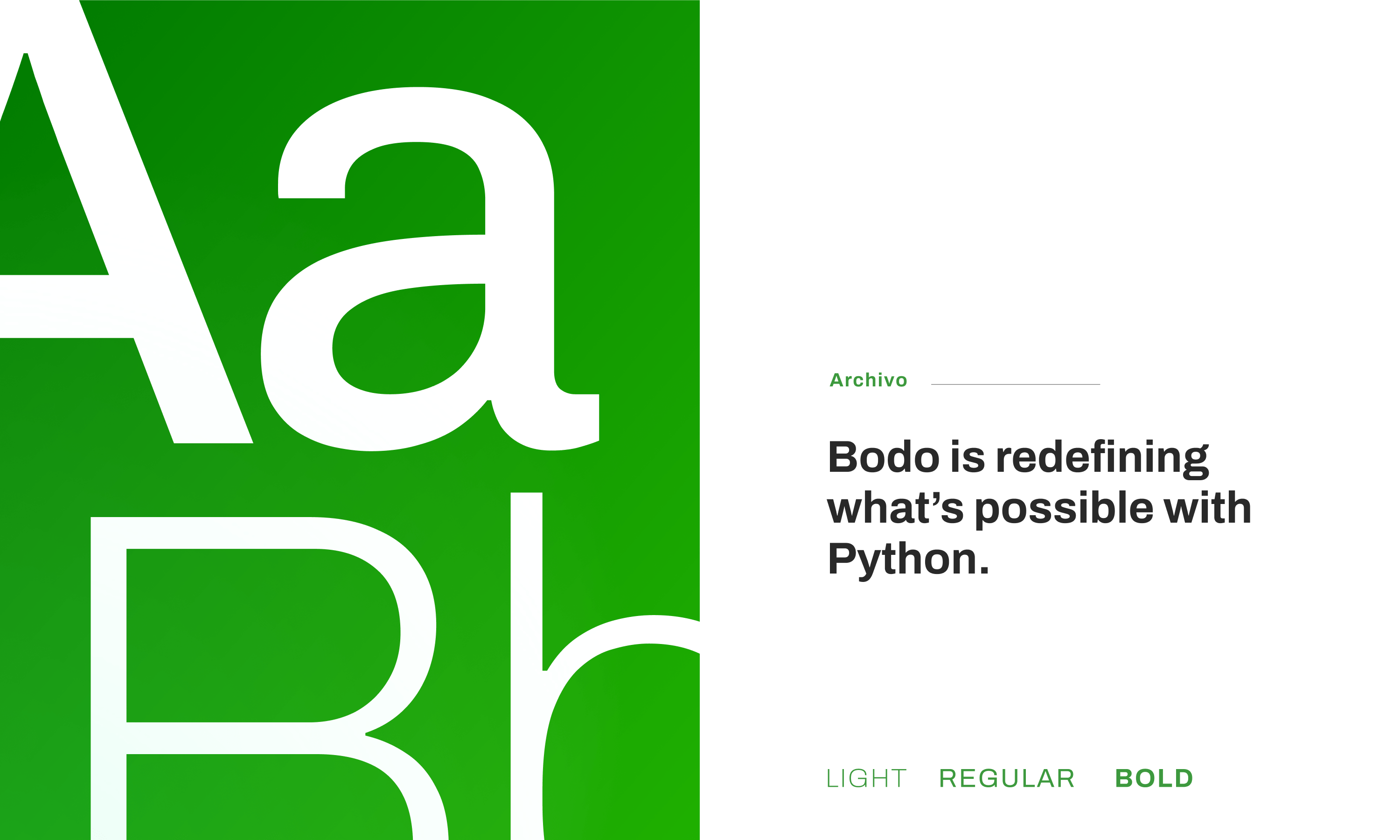 Bodo.ai 品牌视觉详情图 2